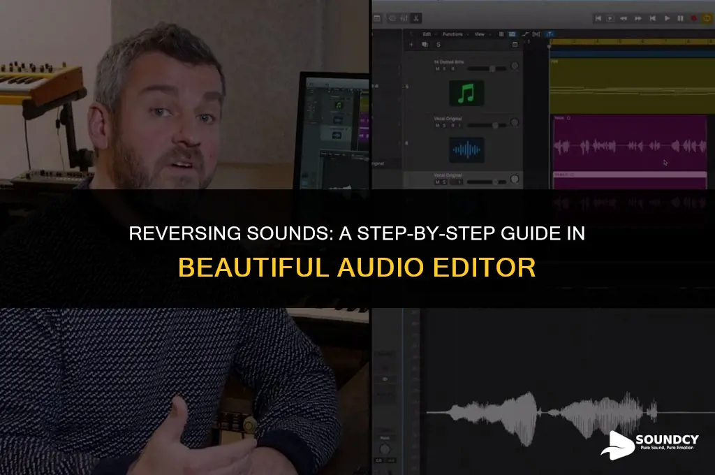 how to reverse a sound in beautiful audio editor