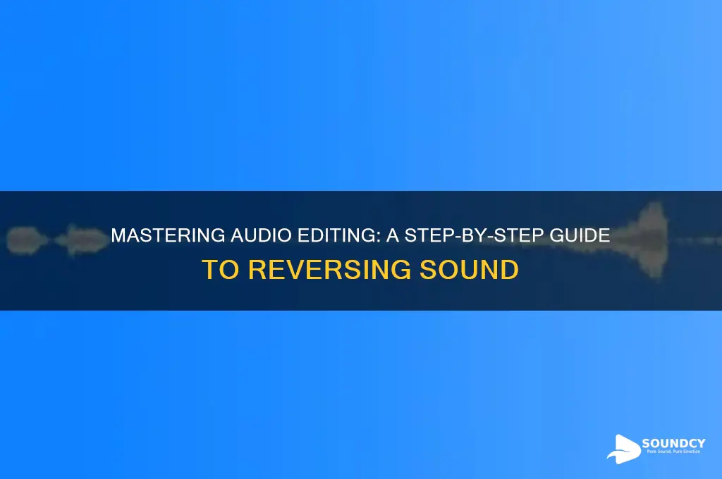 how to reverse a sound