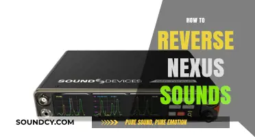 Mastering Nexus Sound Reversal: A Step-by-Step Guide for Producers