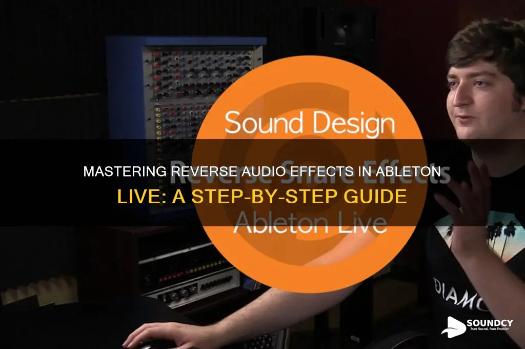 how to reverse sound ableton