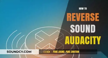 Master Audacity: Easy Steps to Reverse Audio Tracks Like a Pro