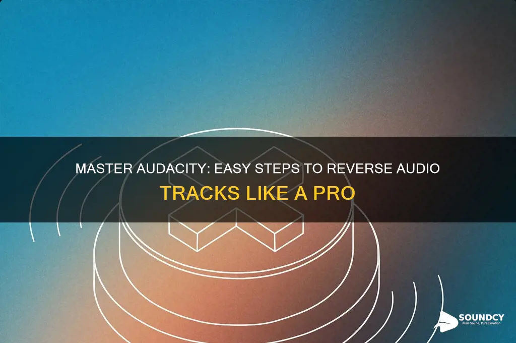 how to reverse sound audacity