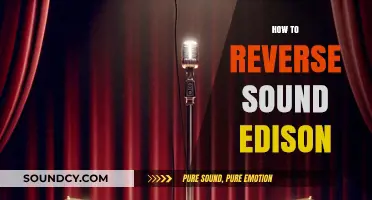 Reversing Audio in Soundation: A Step-by-Step Guide to Flipping Tracks