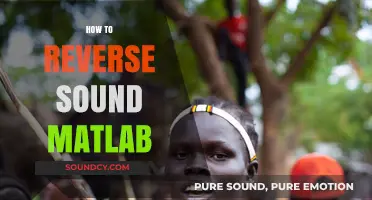 Mastering Audio Reversal: A Step-by-Step MATLAB Guide for Beginners