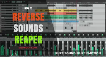 Mastering Audio Editing: How to Reverse Sounds in REAPER