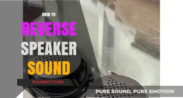 Reversing Speaker Sound: A Step-by-Step Guide to Flipping Audio Output