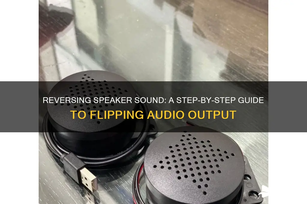how to reverse speaker sound