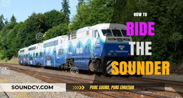 Mastering the Sounder: A Beginner's Guide to Smooth Train Rides