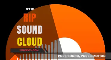 Mastering SoundCloud Downloads: A Step-by-Step Guide to Ripping Tracks