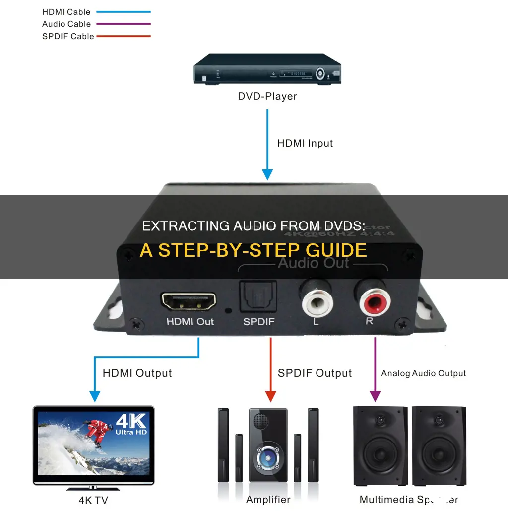 how to rip sound from dvd
