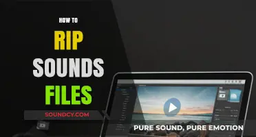 Mastering Audio Extraction: A Guide to Ripping Sound Files