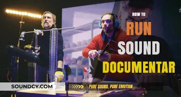 Mastering the Art of Running a Compelling Sound Documentary