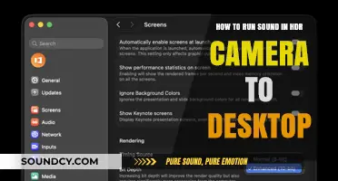HDR Video Workflow: Routing High-Quality Audio from Camera to Desktop