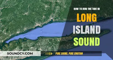 Navigating the Tides: A Guide to Long Island Sound's Waterways