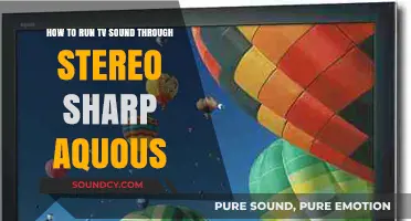 Enhance Your Viewing: Connect TV Audio to Stereo Sharp Aquos