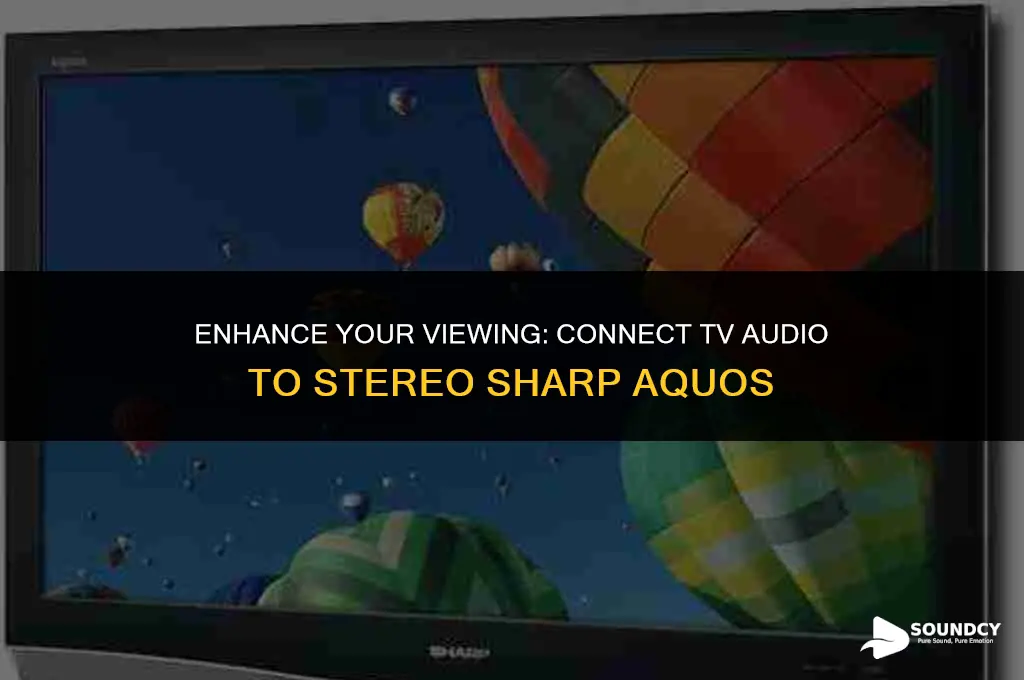 how to run tv sound through stereo sharp aquous