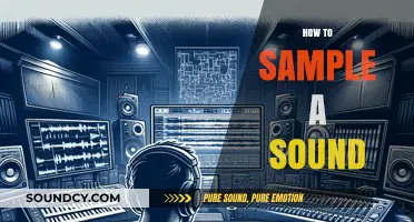 Mastering Sound Sampling: Techniques for Capturing and Editing Audio