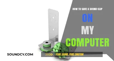 Easy Steps to Save a Sound Clip on Your Computer