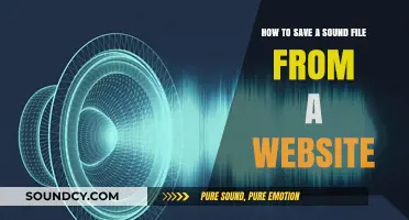 Download Audio Files from Websites: A Step-by-Step Guide