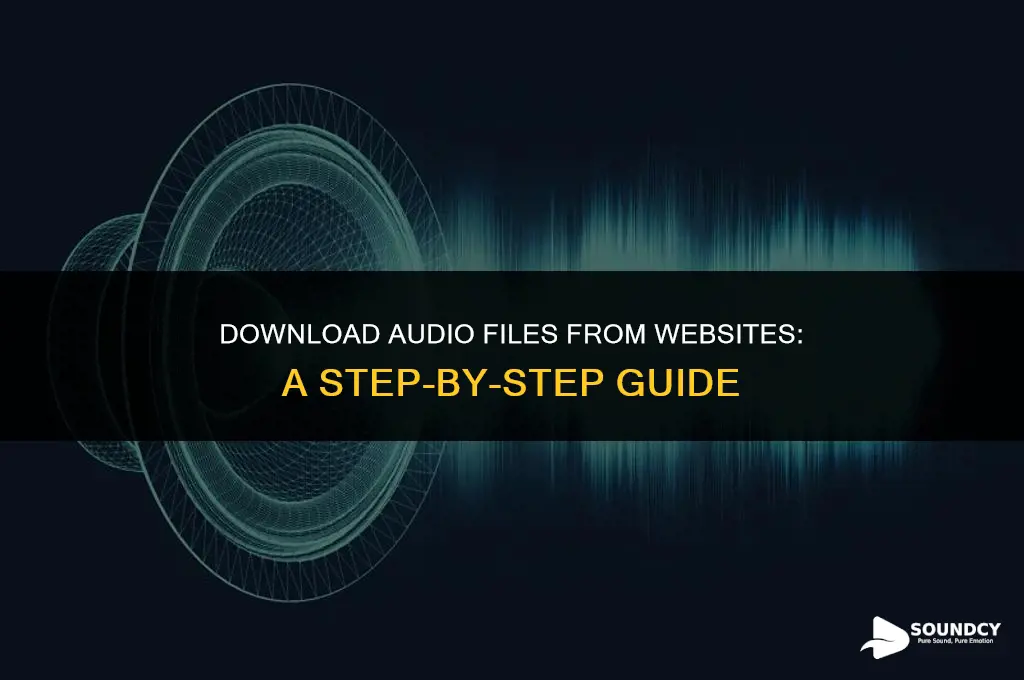 how to save a sound file from a website