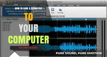 Easy Steps to Save Any Sound File on Your Computer