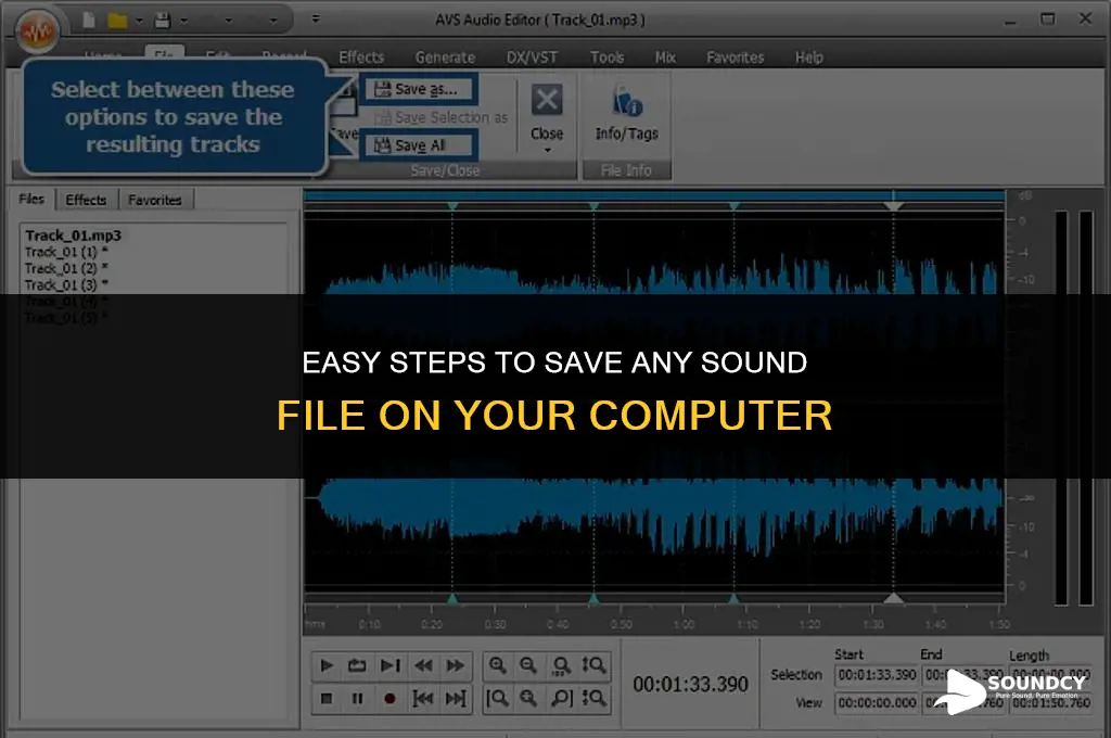 how to save a sound file to your computer