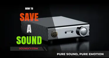 Mastering Audio Preservation: Simple Steps to Save Your Sounds Effectively