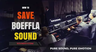 Preserve Boeffla Sound: Essential Tips for Optimal Audio Quality