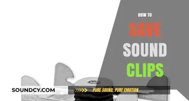 Mastering Sound Clip Preservation: Tips for Saving Audio Snippets