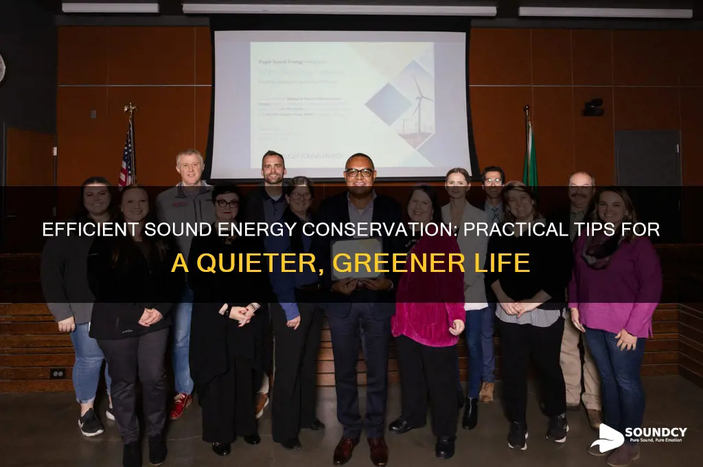 how to save sound energy
