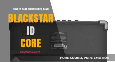 Preserving Sonic Creativity: A Guide to Saving Sounds on Blackstar ID Core