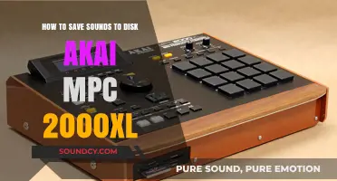 Preserving Beats: A Guide to Saving Sounds on Akai MPC 2000XL