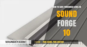 Mastering Sound Forge 10: A Guide to Saving Threshold Levels