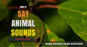 Mastering Animal Sounds: A Fun Guide to Mimicking Creatures' Calls