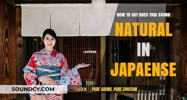 Mastering Natural Japanese: A Guide to Authentic Expression
