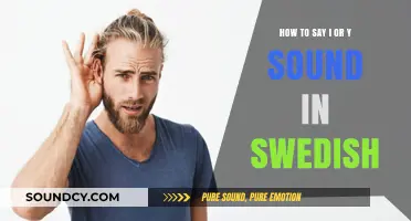 Mastering the Swedish 'I' and 'Y' Sounds: A Pronunciation Guide