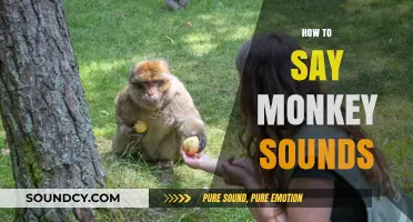 Mastering Monkey Sounds: A Guide to Mimicking Primate Vocalizations