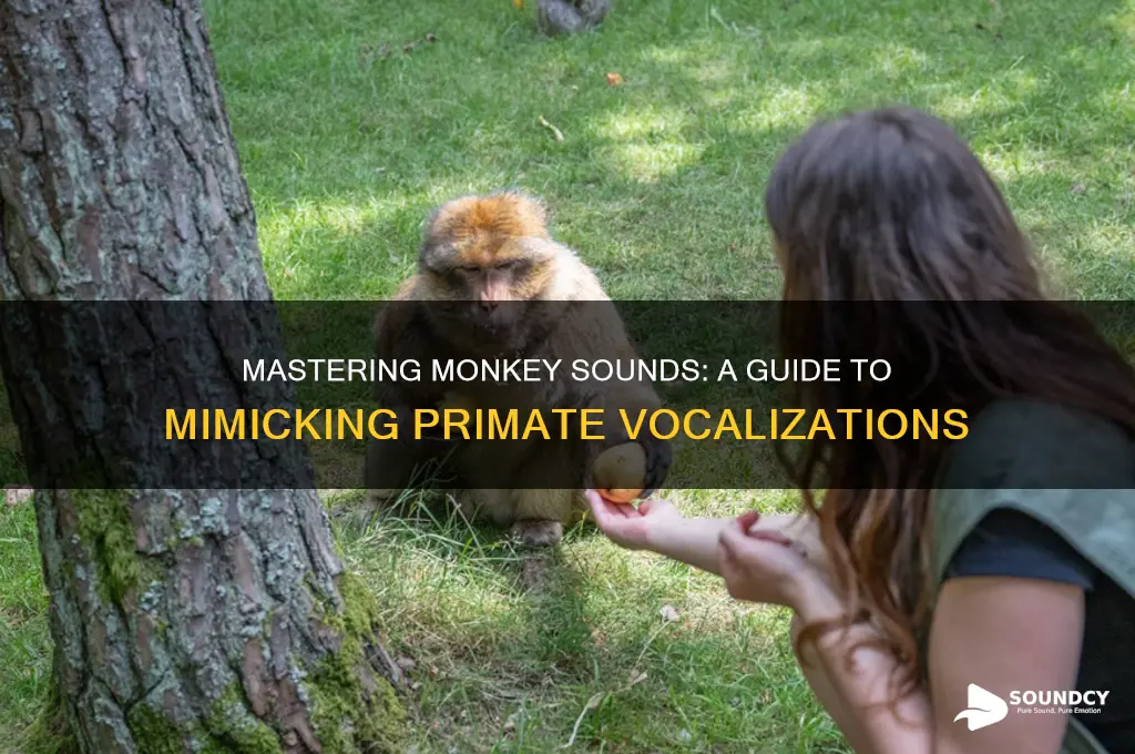 how to say monkey sounds