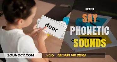 Mastering Phonetic Sounds: A Step-by-Step Guide to Accurate Pronunciation