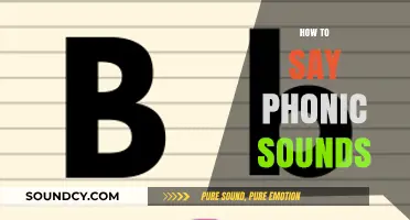 Mastering Phonic Sounds: A Step-by-Step Guide to Pronunciation and Articulation