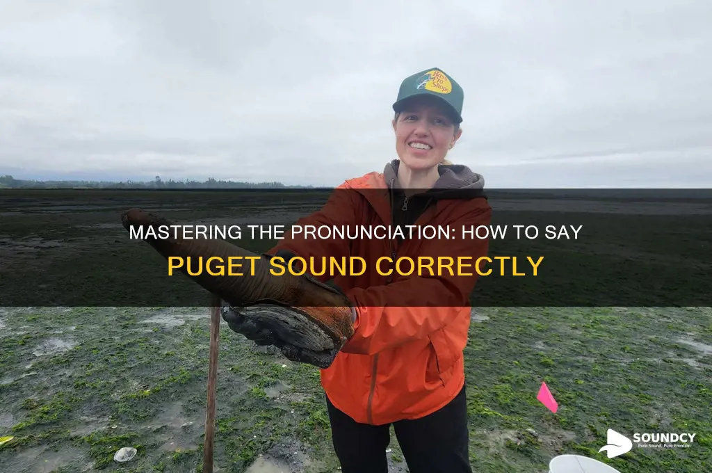 how to say puget sound