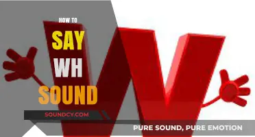 Mastering the WH Sound: Tips and Tricks for Clear Pronunciation