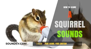 Scaring Squirrels: Noisy Tricks and Tips