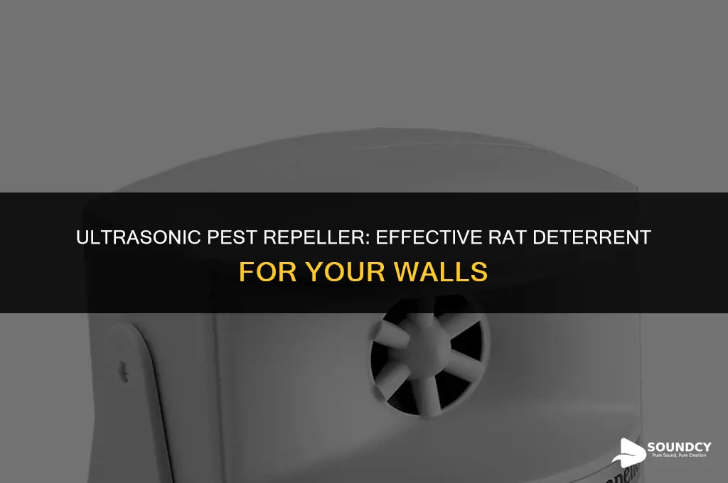 how to scare away rats in walls sounds emitter