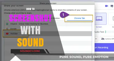 Capture Screenshots with Sound: A Step-by-Step Guide to Recording Audio