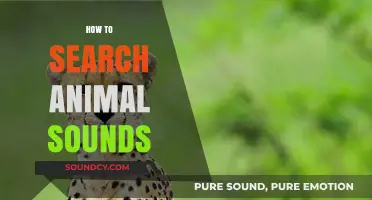 Discovering Wildlife: A Guide to Finding and Identifying Animal Sounds