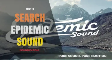 Mastering Epidemic Sound Search: Tips for Finding the Perfect Track