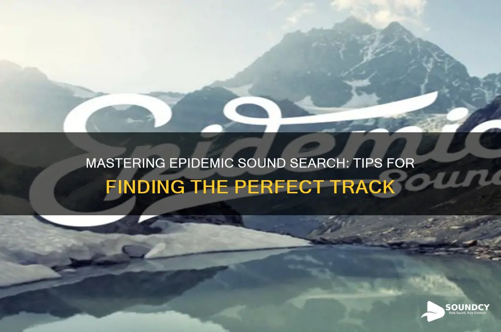 how to search epidemic sound