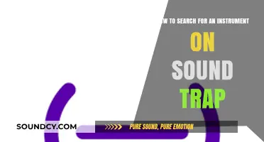 Exploring SoundTrap: A Guide to Finding Your Perfect Instrument