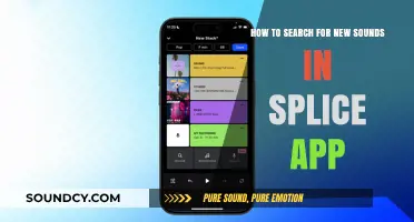 Exploring Sonic Possibilities: A Guide to Discovering New Sounds in Splice